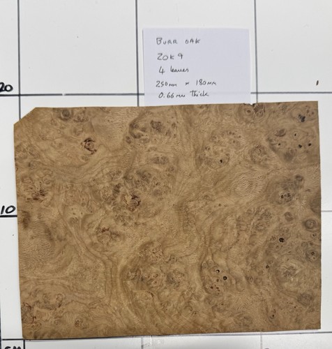 Impiallacciatura rovere burr - impiallacciatura,
