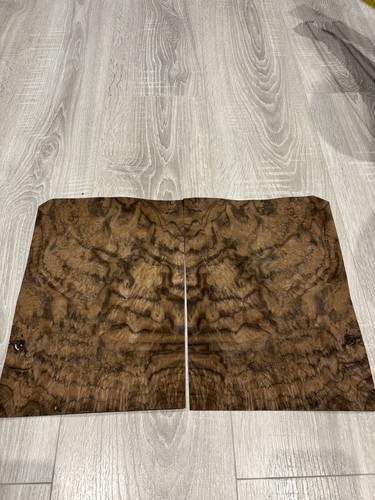 Noce burr fogli legno - -,