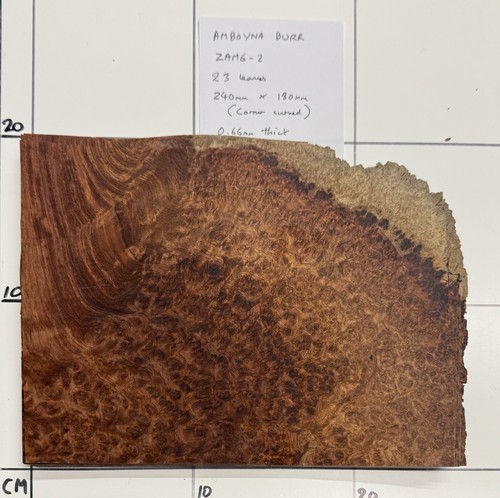 Impiallacciatura amboyna burr - impiallacciatura,