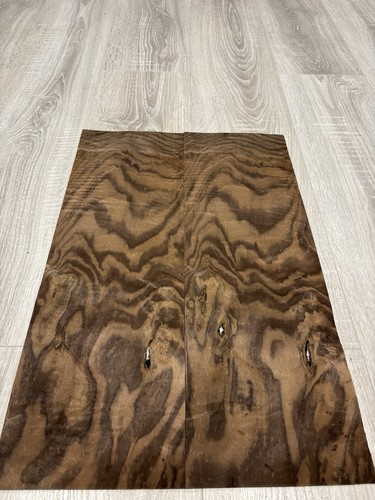 Noce burr fogli legno - noce, 2