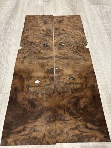 Noce burr fogli - 2, legno