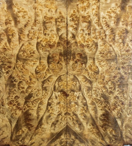 Bookmatch intarsiato legno - 43,