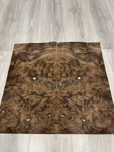 Noce burr fogli - -, 2